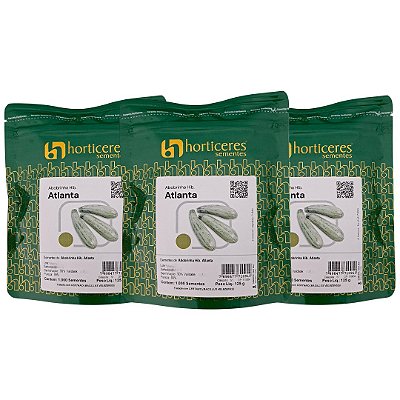 3000 Sementes de Abobrinha Híbrida Atlanta – Horticeres Original