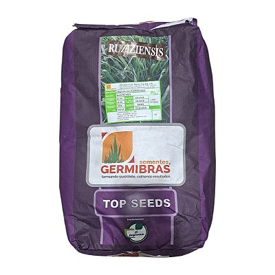 10kg Semente Ruziziensis Topp Seeds Incrustada