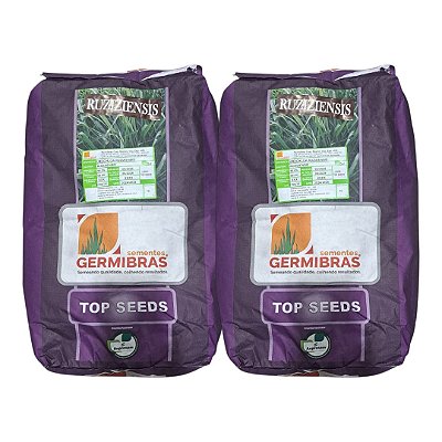 20kg Semente Ruziziensis Topp Seeds Incrustada