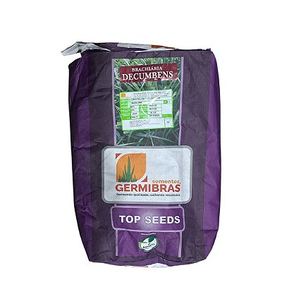 10kg Semente Brachiaria Decumbens Top Seeds Incrustada