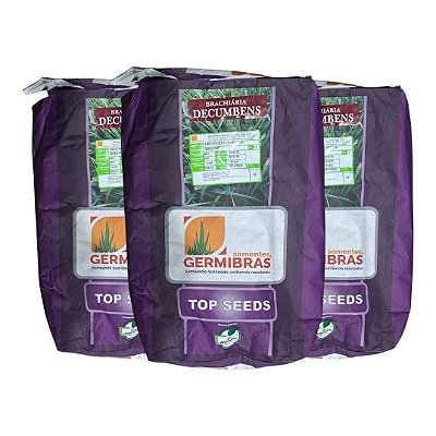 30kg Semente Brachiaria Decumbens Top Seeds Incrustada