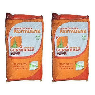 40kg Semente Brachiaria Decumbens CV50 Para Pastagem Alta Produção