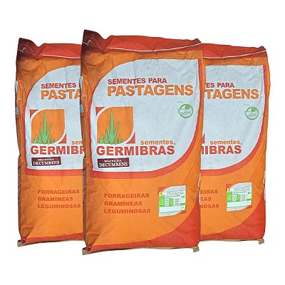 60kg Semente Brachiaria Decumbens CV50 Para Pastagem Alta Produção