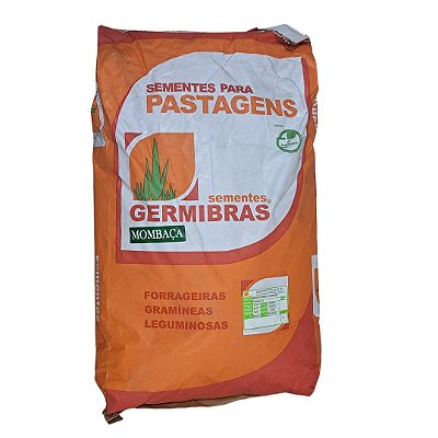 20kg Sementes de Capim Mombaça Panicum Maximum CV35 - Alta Produção para Pastagem