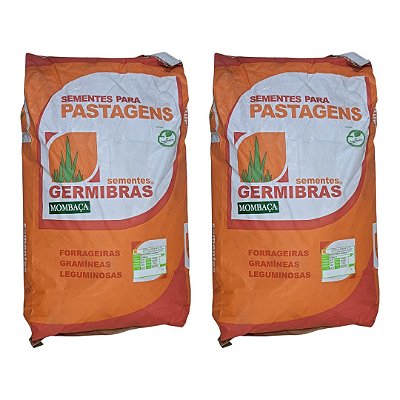 40kg Sementes de Capim Mombaça Panicum Maximum CV35 - Alta Produção para Pastagem