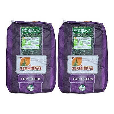 20kg Sementes Capim Panicum Maximum Mombaça Top Seeds - Pastagem Produtiva e Resistente