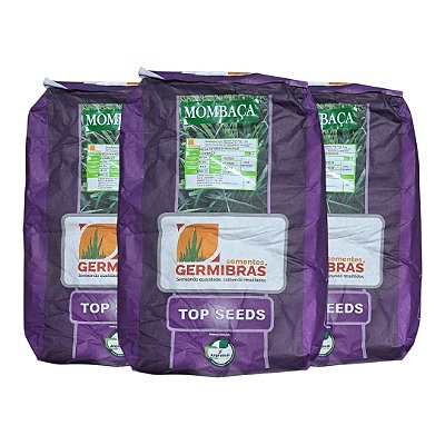 30kg Sementes Capim Panicum Maximum Mombaça Top Seeds - Pastagem Produtiva e Resistente