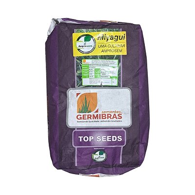 10kg Semente Panicum Maximum Miyagui - Ideal Para Pastagem