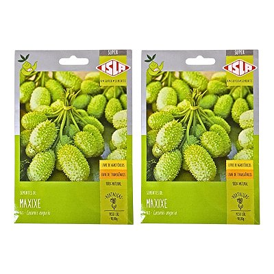 Sementes 20g Maxixe Isla para Horta Caseira - Cultivo Fácil
