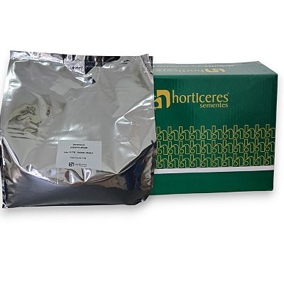 5kg Sementes Coentro Aruba - Horticeres