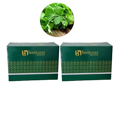 10kg Sementes de Coentro Aruba - Horticeres