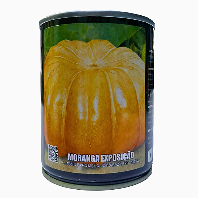 Sementes Abóbora Moranga Exposição 100g Feltrin – Produção de Frutos Grandes