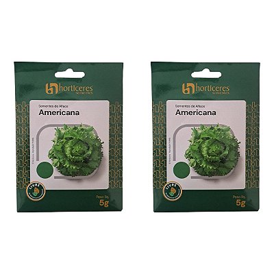 10g Sementes de Alface Americana Horticeres – Ciclo de 65-80 Dias
