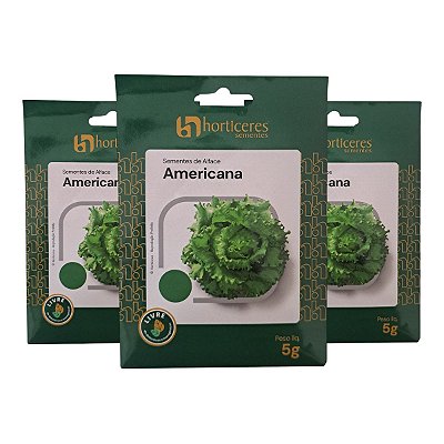 15g Sementes de Alface Americana Horticeres – Ciclo de 65-80 Dias