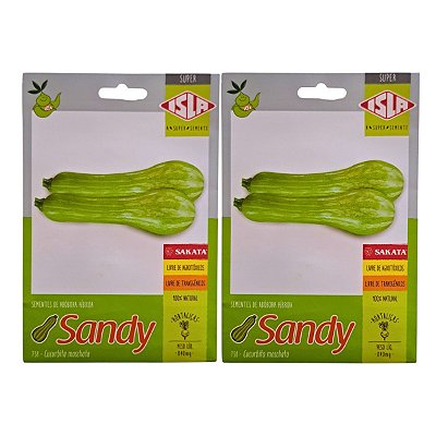 Sementes de Abóbora Sandy Híbrida 1,7g Isla – Vigor e Qualidade