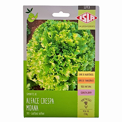 Sementes de Alface Crespa Moana 2,5g Isla – Ciclo de 45 a 60 Dias