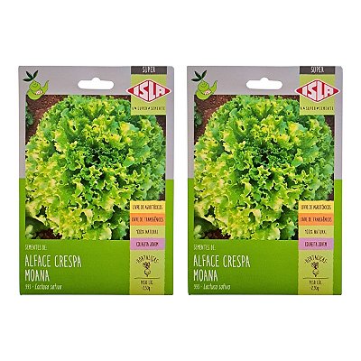 Sementes de Alface Crespa Moana 5g Isla – Ciclo de 45 a 60 Dias