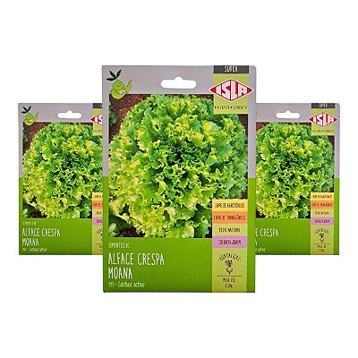 Sementes de Alface Crespa Moana 7,5g Isla – Ciclo de 45 a 60 Dias