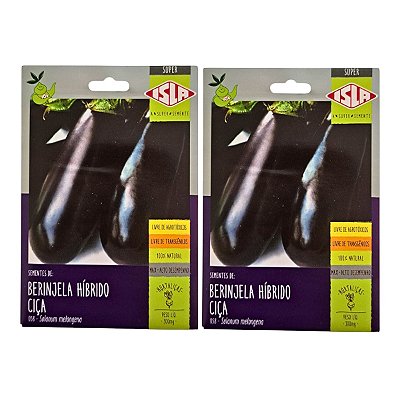 Sementes de Berinjela Ciça Híbrida Isla 600mg – Ideal Para Cultivo Comercial
