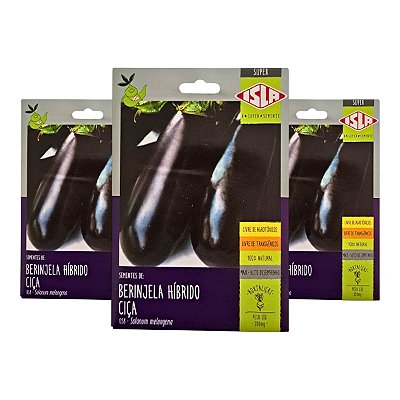 Sementes de Berinjela Ciça Híbrida Isla 900mg – Ideal Para Cultivo Comercial