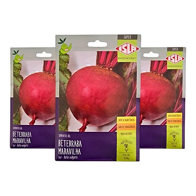 30g Sementes de Beterraba Maravilha Raíz Firme - Isla Sementes
