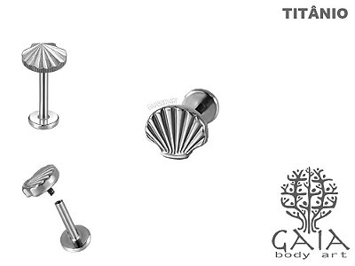 Labret Titânio Concha