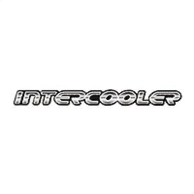 Emblema blazer e s10 chevrolet de 2003 lateral prata resinado