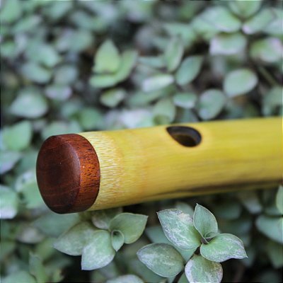 Flauta tipo Bansuri indiano, Bb 432hz