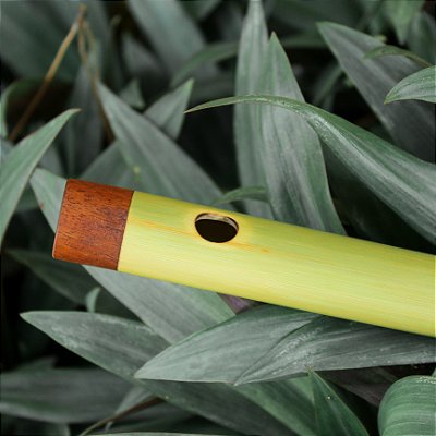 Flauta tipo Bansuri indiano, tom B