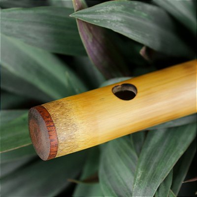Flauta tipo Bansuri indiano, tom Bb