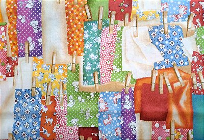 DryingClothes. Alg Japonês. (50x55cm)