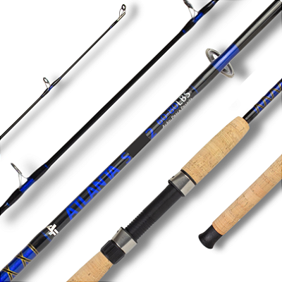 Vara Albatroz Atlanta 1,65m 80lbs - Para Molinete