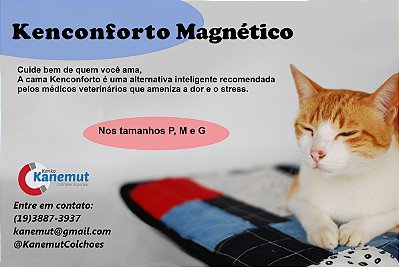 Kenconforto Magnético