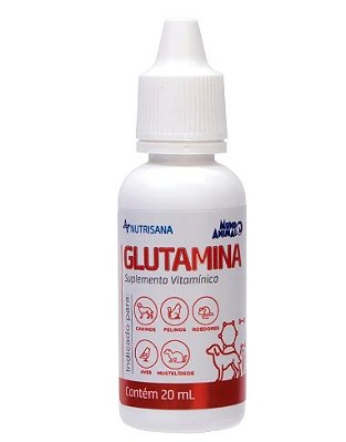 Display Glutamina 20 Ml 15Und