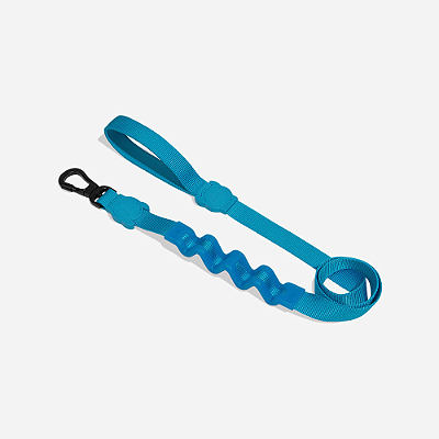 Guia para Cachorros Ultimate Blue