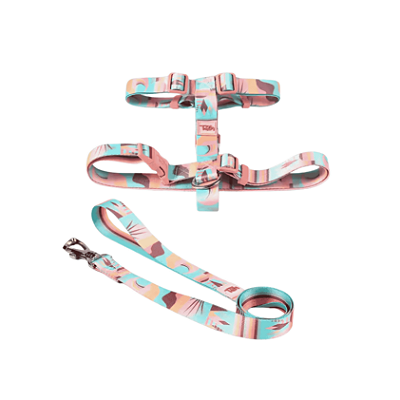 Conjunto Peitoral H e Guia Atacama