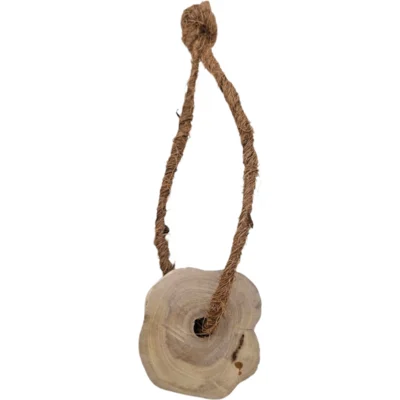 Brinquedo Sustentável Amicus Coconut Wood com Alça Marrom para Cães