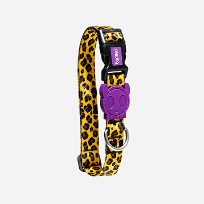 ZEE COLEIRA PARA CACHORROS HONEY P