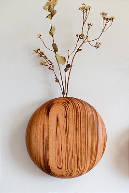 Vaso órbita em Muiracatiara