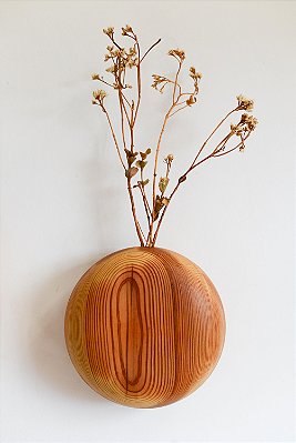 Vaso órbita em Pinho de Riga