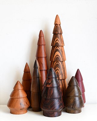 Xiloteca Pinheirinhos