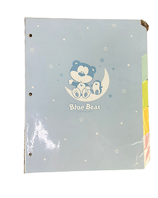 Divisoria Blue Bear