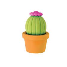 Borracha Cactus no Vaso Redondo