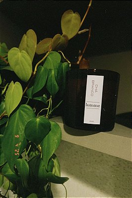 Vela Grande Chá Branco