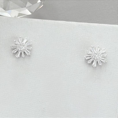 Brinco Flor com 10 Pétalas - Prata 925