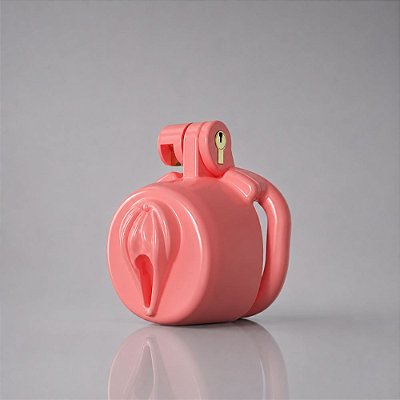 Cinto De Castidade – Dispositivo Design Vulva Com 4 Anéis – Ocultador Sissy Crossdresser Trans