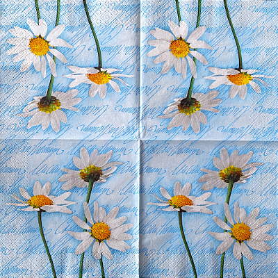 Guardanapo para Decoupage 33x33 Flores Bem-Me-Quer