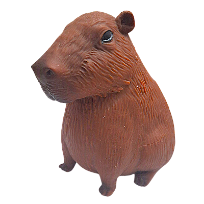 Capivara Divertida