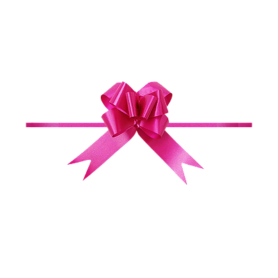 Laço Pronto Liso 1.8cm x 36cm 10 Unidades Pink Cromus