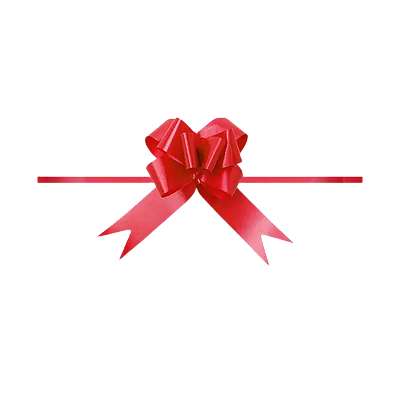 Laço Pronto Liso 1.8cm x 36cm 10 Unidades Vermelho Cromus